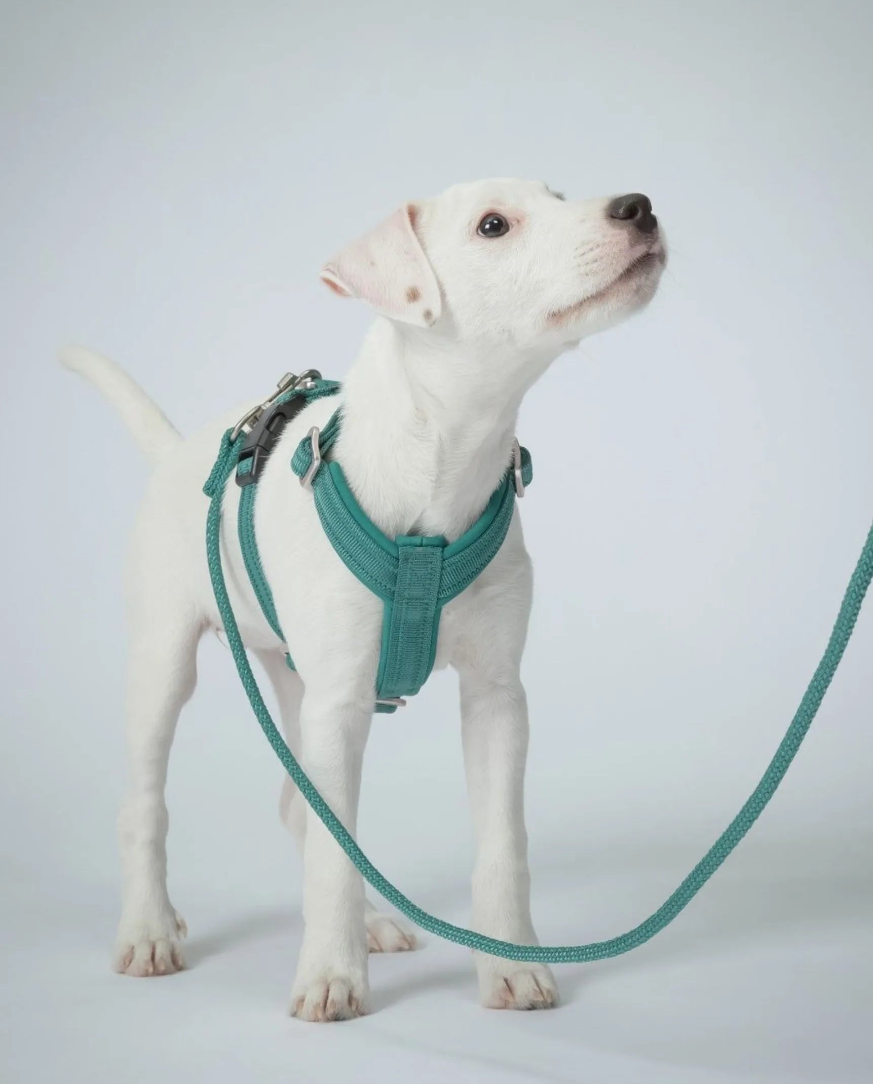 Повідець для собак Visibility Rope Leash Emerald Paikka