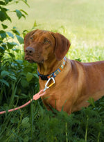 Повідець Woolly Wolf Rope Leash Pigeon Salmon Pink - 180см.