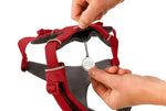 Повсякденна шлейка для собак Ruffwear Front Range® червоний