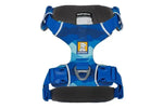 Повсякденна шлейка для собак Ruffwear Front Range® синьо-блакитний