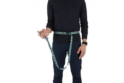 Регульований повідець для собак Ruffwear Crag EX™ бірюзово-зелений