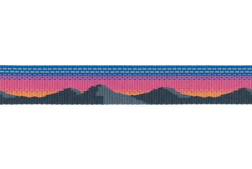 Регульований повідець для собак Ruffwear Crag EX™ рожево-синій