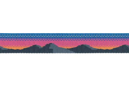 Регульований повідець для собак Ruffwear Crag EX™ рожево-синій