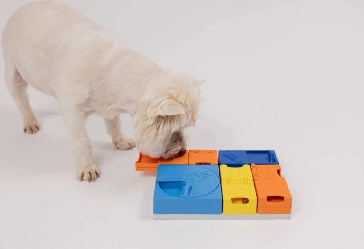 Розвиваюча іграшка конструктор для собак Pawzler Rainbow Set Mini