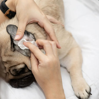 Серветки для очищення вух Eye Envy Fresh Ear Cleaning Wipes, 60 шт