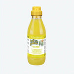 Шампунь Iv San Bernard Ginger and Elderberry дезінфікуюча, з бузиною та імбирем