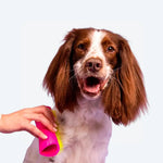 Щітка для вичісування Pet Teezer Pink/Yellow