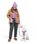 Шлея для собак Alpha 360 Wooly Wolf Mauve Mix