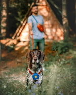 Шлея для собак Color Block Lime Mix Woolly Wolf