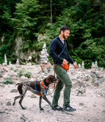 Шлея для собак Color Block Lime Mix Woolly Wolf