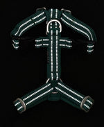 Шлея для собак Easy Harness Emerald Paikka