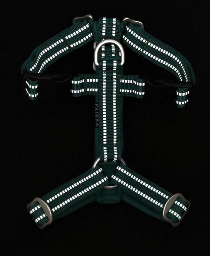 Шлея для собак Easy Harness Emerald Paikka