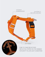 Шлея для собак Easy Harness Orange Paikka