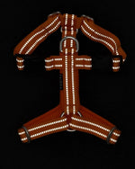 Шлея для собак Easy Harness Orange Paikka