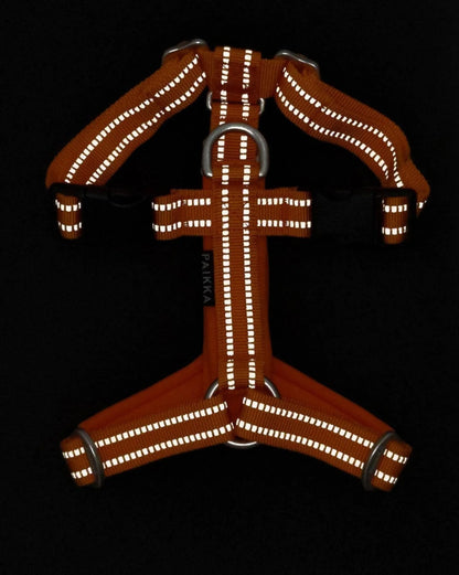 Шлея для собак Easy Harness Orange Paikka
