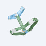 Шлея для собак FURLOU Blue and Sage Green