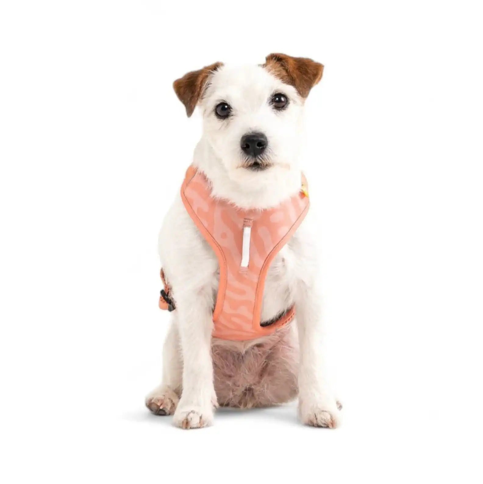 Шлея для собак Woolly Wolf Roam Harness Salmon Pink