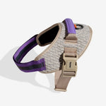 Шлея для собак Zee.Dog - ACG FlyHarness