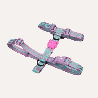 Шлея для собак Zee.Dog - AURA H-HARNESS