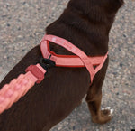 Шлея для собак Zee.Dog - CANYON SOFTER WALK HARNESS