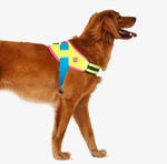 Шлея для собак Zee.Dog - CMYK FlyHarness