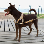 Шлея для собак Zee.Dog - DUNE SOFTER WALK HARNESS