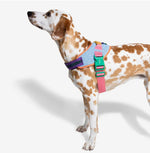 Шлея для собак Zee.Dog - Galaxy FlyHarness