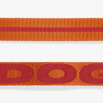 Шлея для собак Zee.Dog - Gibson H-HARNESS