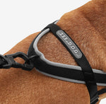 Шлея для собак Zee.Dog - GOTHAM SOFTER WALK HARNESS