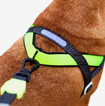 Шлея для собак Zee.Dog - NOX SOFTER WALK HARNESS