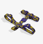 ШЛЕЯ ДЛЯ СОБАК ZEE.DOG - Zmiley  H-HARNESS