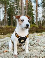 Шлейка Woolly Wolf Sea to Summit Harness