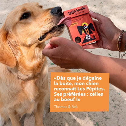 Смаколики для собак Нагетси з Яловичиною Les Pépites Delamour Paris