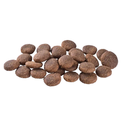 Сухий корм Brit Care Dog Grain-free Adult Large Breed для собак великих порід, беззерновий з лососем