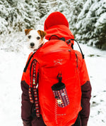 Сумка для ласощів Woolly Wolf Polar Night Dog Snack Bag