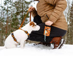 Сумка для ласощів Woolly Wolf Sea to Summit Dog Snack Bag