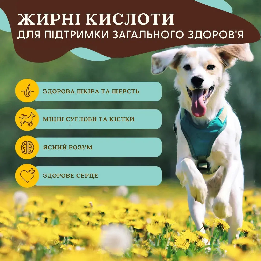 Суперфуд для собак суміш насіння Super Seed Granules Natural Dog Company
