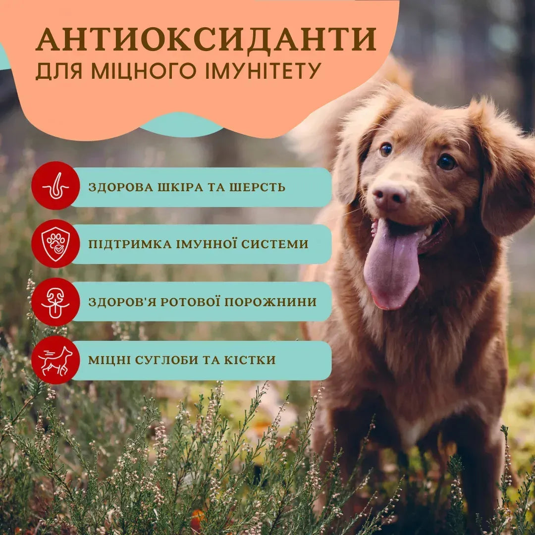 Суперфуд для собак суміш ягід Antioxidant Berry Granules Natural Dog Company