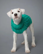 Светр для собак Sweater Green Paikka