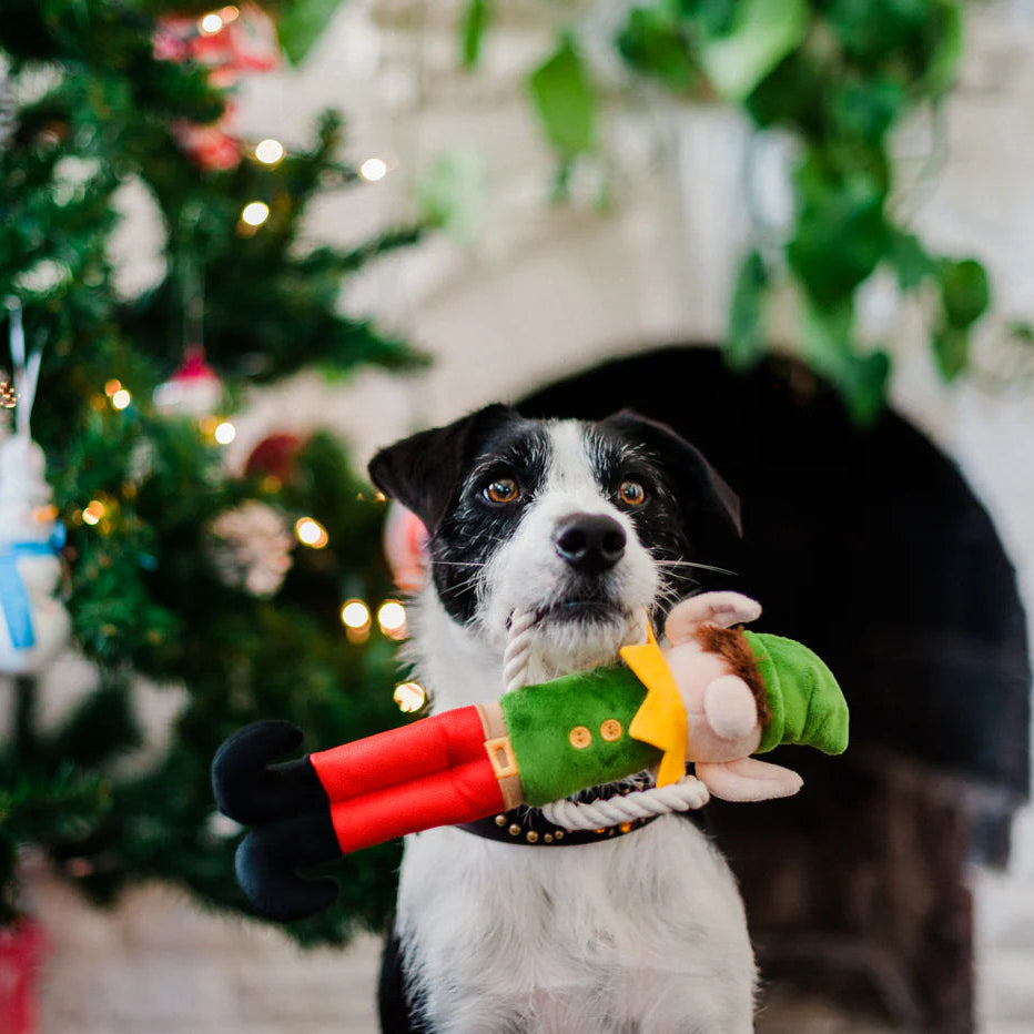Іграшка для собак MerryWoofmas – Santa’s Little Elf-er Pet Play