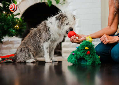 Іграшка для собак Merry Woofmas – Doglas Fur Pet Play