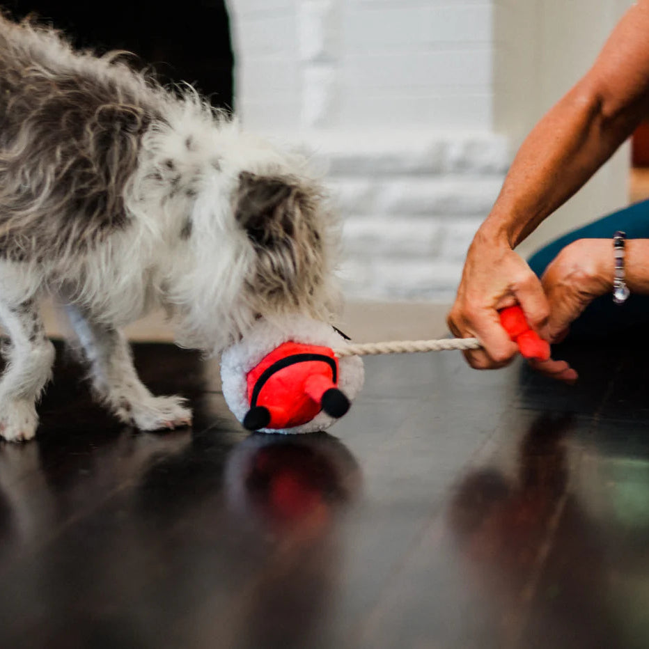 Іграшка для собак MerryWoofmas – Clumsy Claus Pet Play