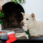 Іграшка для собак Merry Woofmas – Good Dog Stocking Pet Play
