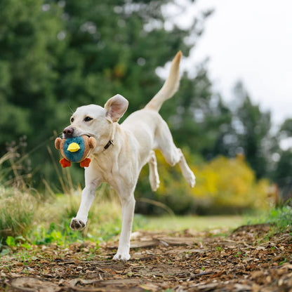 Іграшка для собак Barnyard Buddies – Гуска Dana the Duck Pet Play