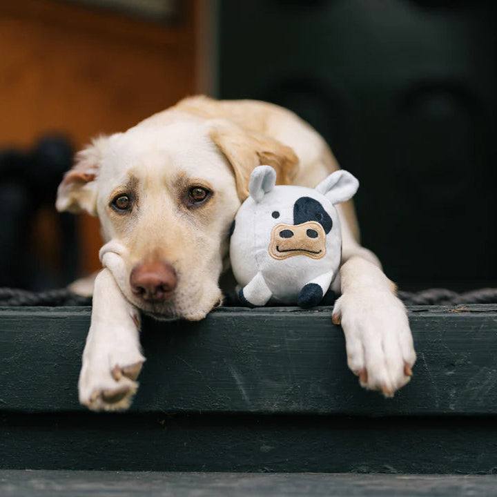 Іграшка для собак Barnyard Buddies – Корівка Cole the Cow Pet Play