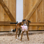 Іграшка для собак Barnyard Buddies – Свинка Paul the Pig Pet Play