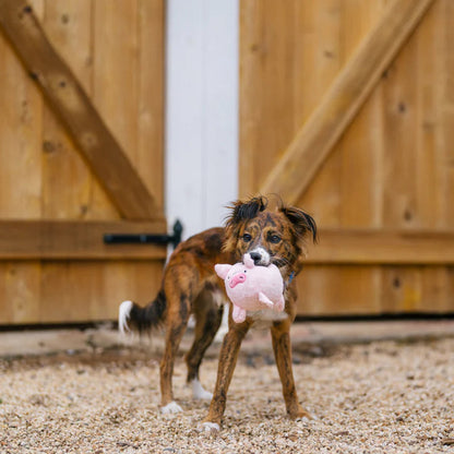 Іграшка для собак Barnyard Buddies – Свинка Paul the Pig Pet Play