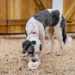 Іграшка для собак Barnyard Buddies – Вівця Sadie the Sheep Pet Play