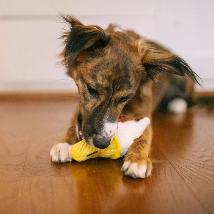 Іграшка для собак Snack Attack - Swirls'n Slobbers Soft Serve Pet Play