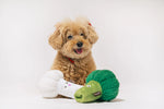 Іграшка для собак Farm Fresh Collection – Broccoli Pet Play